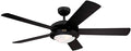 Westinghouse Lighting Comet Plafondventilator met lamp, zwart