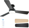 Passky Plafondventilator met verlichting afstandsbediening (zwart, 132 cm)