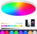 LED Plafondlamp Dimbaar, 24W 2400LM Smart RGB LED Plafondlamp, IP44 Woonkamer Lamp Slaapkamer Lamp, Compatibel met Alexa APP Google Assistant