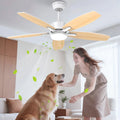 Airwit Deckenventilator, Fernbedienung